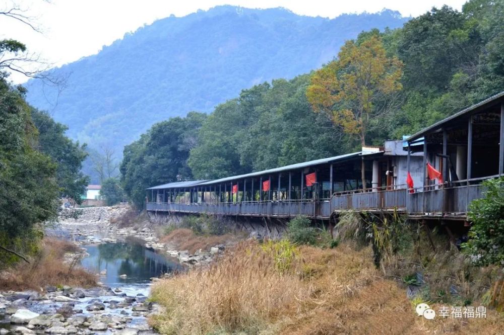 福鼎美食为产业主引擎,吸收周边地区的特色美食品牌,打造三门屯美食街