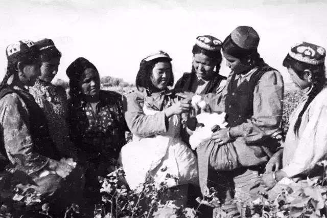 一组罕见的兵团老照片有您的父辈吗