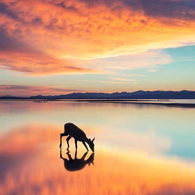 2021最经典的心灵鸡汤一般人还真看不懂