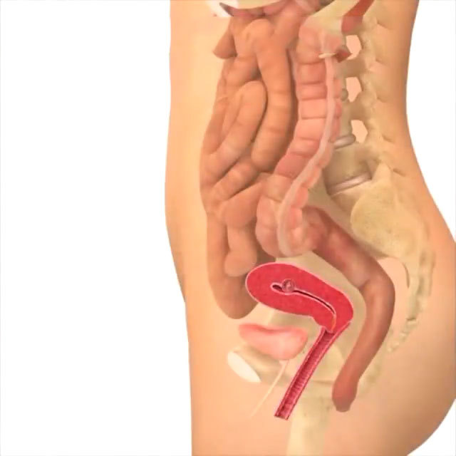 孕期40周胎儿生长发育组图胎儿是这样一天天长大的