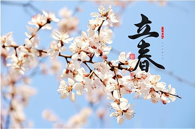 春打五九尾家家吃猪腿明日立春2021立春在五九尾吗