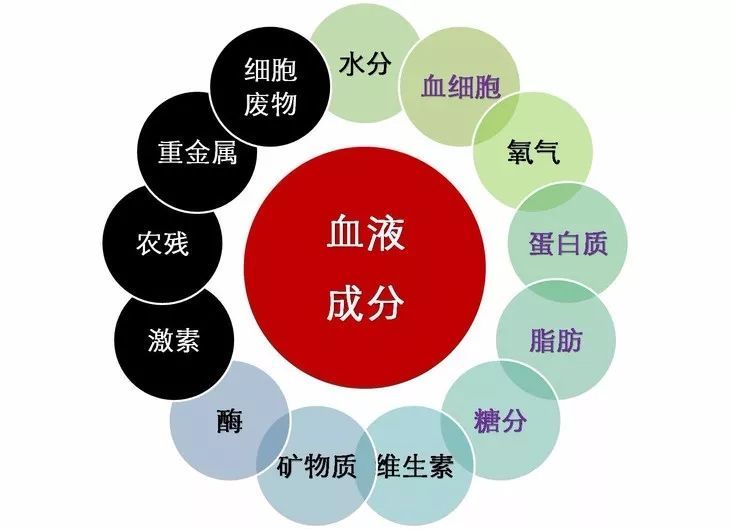 针对环境毒素你能做什么