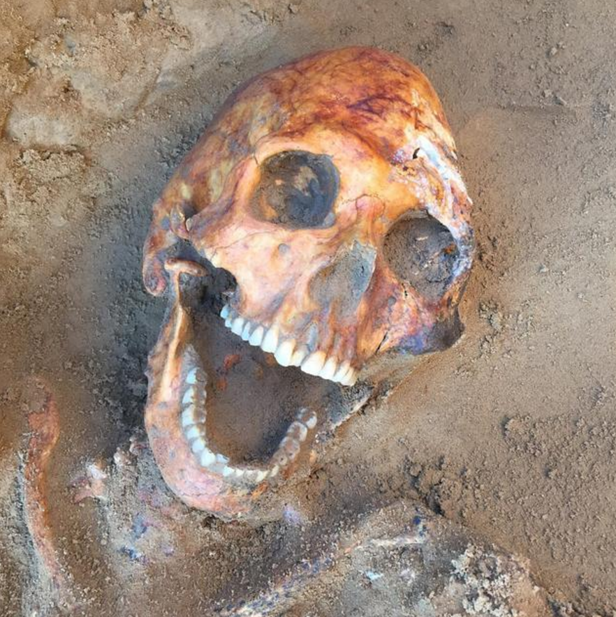 俄罗斯专家挖开一座古墓,惊讶发现一颗"快乐头骨",口腔大张似爆笑