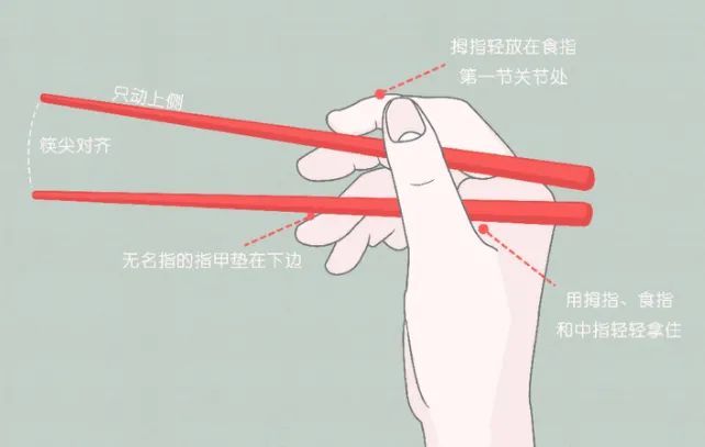 天天吃饭,你真的会使用筷子吗?_腾讯新闻