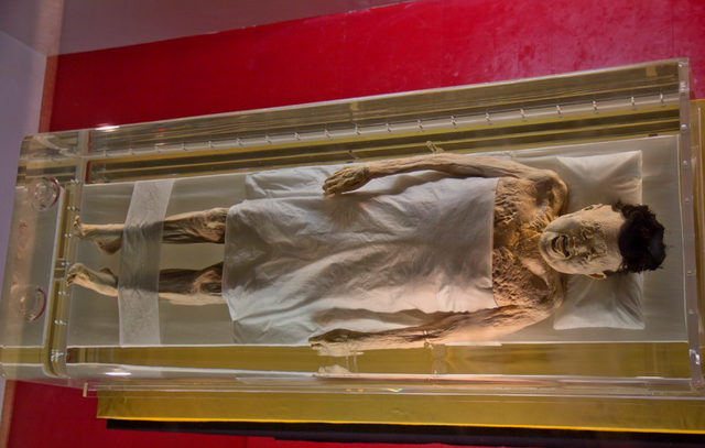 马王堆出土的利苍之妻辛追夫人的尸身是一具极其罕见的女性湿尸.