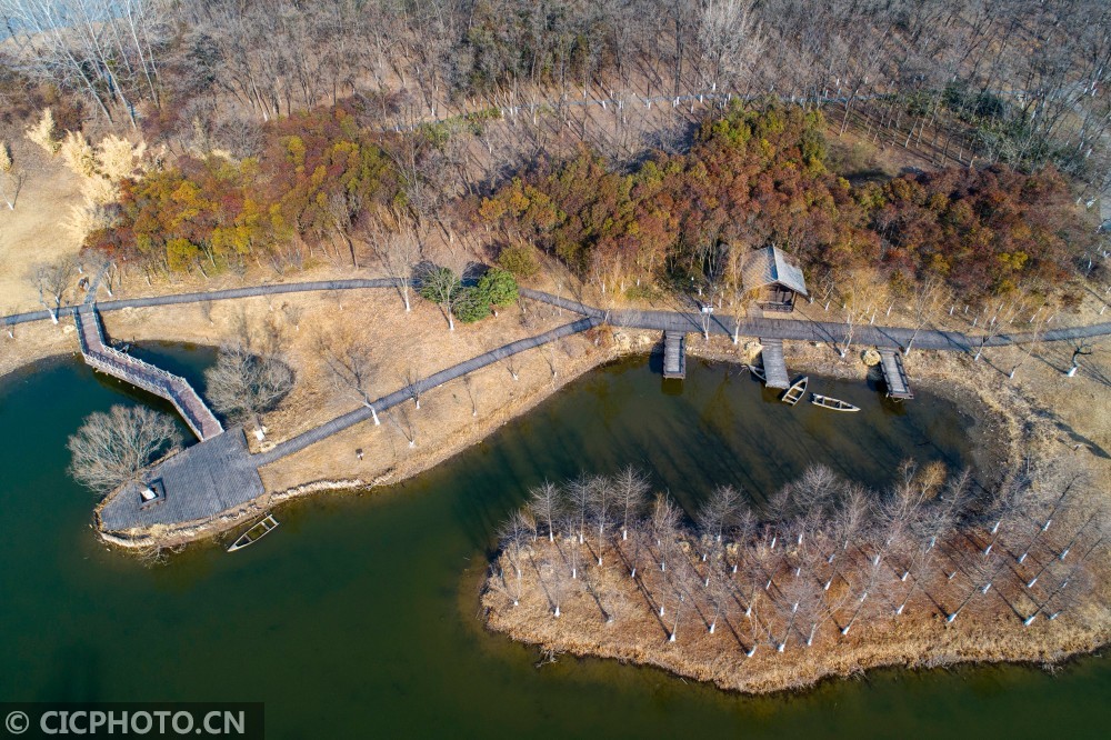 淮安湿地森林公园图片