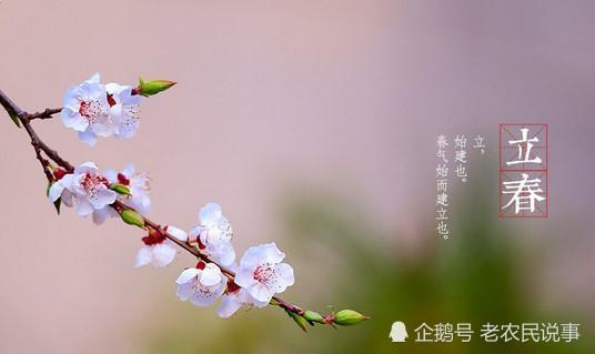 立春到 俗语 立春三日晴 缸中米生虫 啥意思 为啥米生虫 腾讯新闻