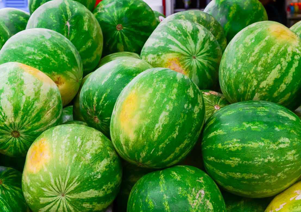 为什么在美国吃西瓜不是黑人的事瞧瞧美国网友的说法