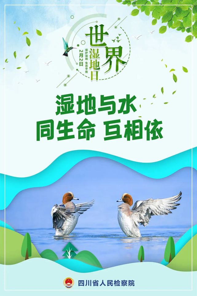 原创海报守护湿地益路前行
