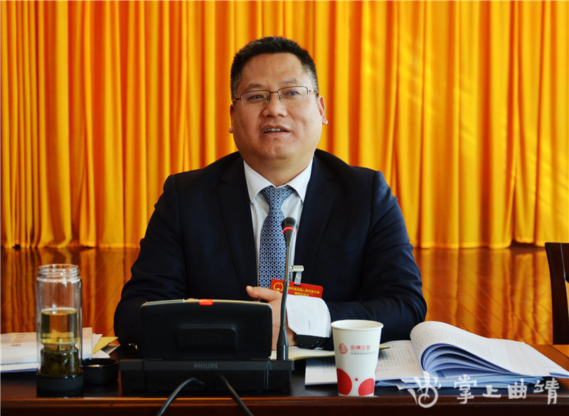 陈真永到宣威市代表团审议政府工作报告和审查纲要草案