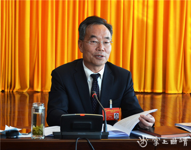 陈真永到宣威市代表团审议政府工作报告和审查纲要草案