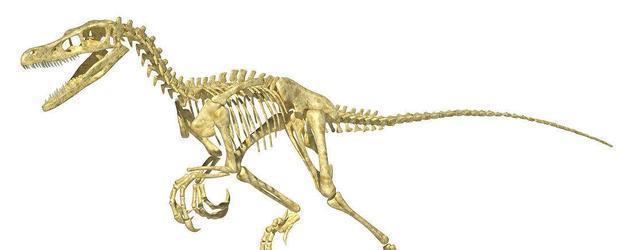 如果陆地上突然出现5000万只伶盗龙,会对现代的人类有什么影响?