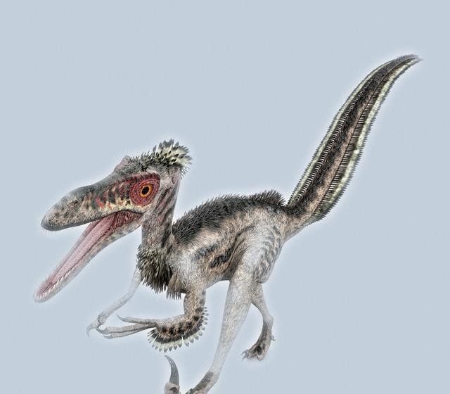 如果陆地上突然出现5000万只伶盗龙,会对现代的人类有什么影响?