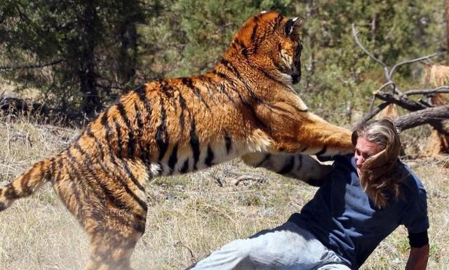 當野生動物威脅到人的生存時人應該怎麼做