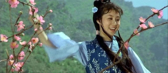 "牧羊女"丁岚:当红移民新加坡,落魄后回国"捞金",今成富婆