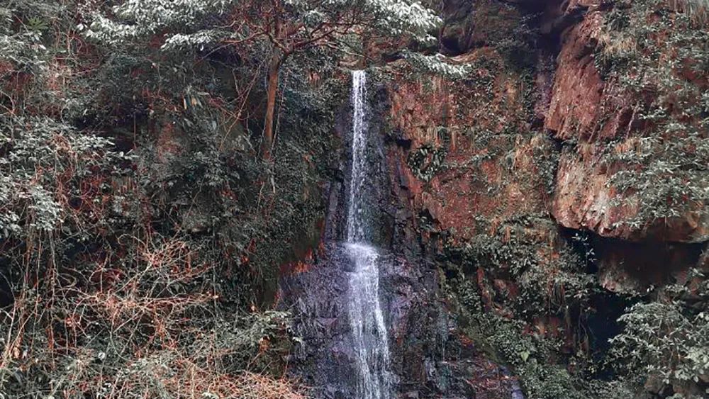 马上雨季要来了 趁着现在阳光明媚 风和日丽 赶紧出门踏春吧 腾讯新闻