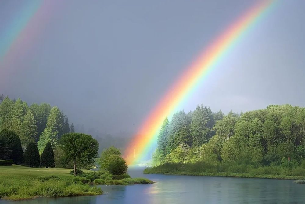 每日星座运势查询2022年2月3日