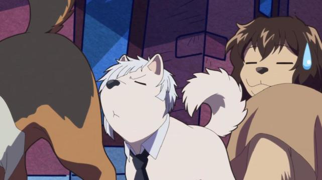 文豪野犬汪犬化文豪萌萌哒无法忽视的亮点中也身高永远痛