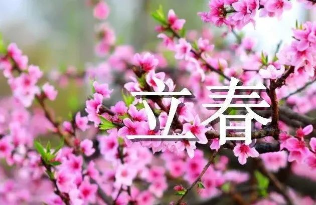 今日立春,愿你一切安好