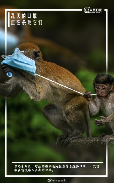 ��ע�⡻���������ڻ����н�����400��500�� �벻Ҫ�Ҷ����֣�