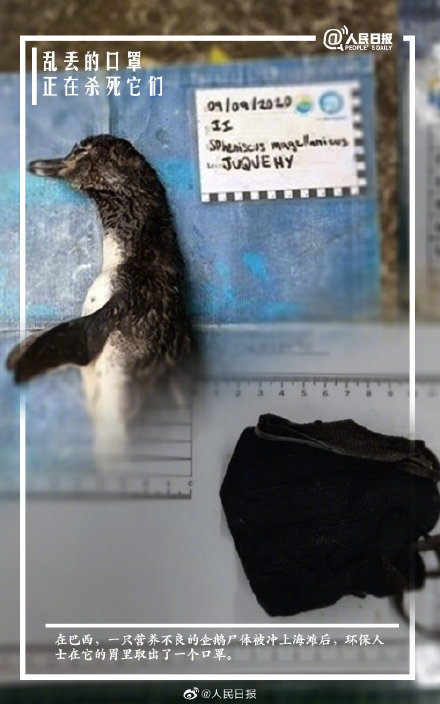 ��ע�⡻���������ڻ����н�����400��500�� �벻Ҫ�Ҷ����֣�