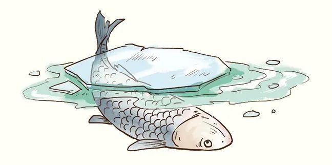 三候鱼陟负冰:冰层下闷了一整个冬天的鱼儿,迫不及待地往水面游,但