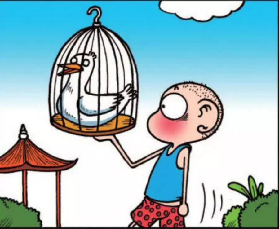 每日一笑公园里不准遛鸟那遛呆头总可以吧