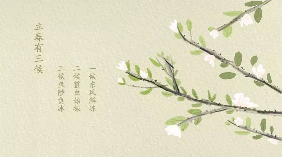 今日立春|挽着东风的手,与你共度岁始的春意盎然!