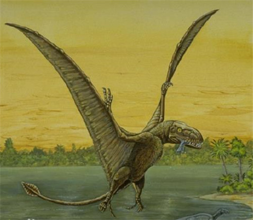 1864年美国人曾逮住一只翼龙两翼宽16米还留下合影是真是假