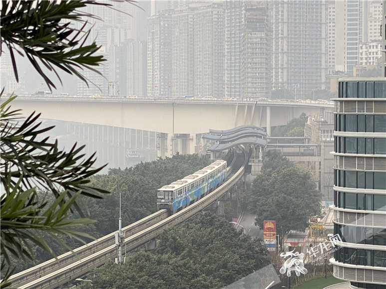 老楼屋顶饱览重庆美景. 华龙网-新重庆客户端 刘钊 摄