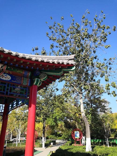 天津故事:早年的鬼市——南开公园