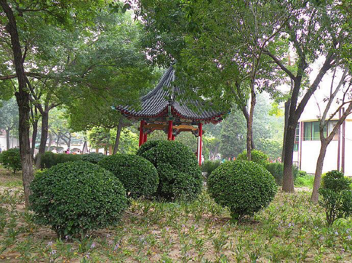 天津故事:早年的鬼市——南开公园