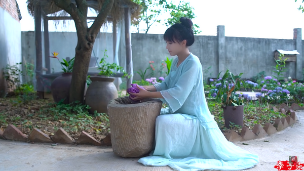 创下"youtube中文频道最多订阅量"吉尼斯纪录的李子柒,凭什么红遍海外