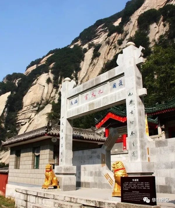 国山是什么树_我国的国山是哪一座山_国山是哪座山