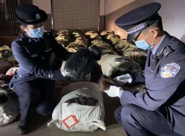新闻快递头发也走私昆明海关查获案值15亿元特大走私人发案