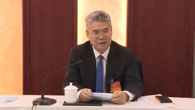 市领导杜健棠,温旭东,唐生,何继先参加审议.