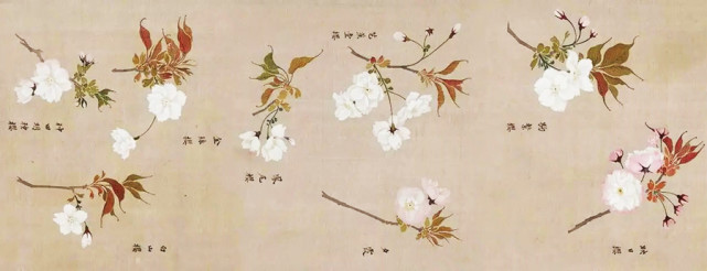 1 乡情莫问天边月,自有樱花胜洛阳 《奈良三笠山》 :"阿倍当年思奈良