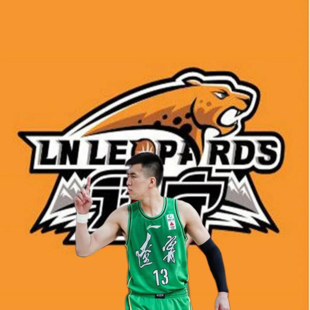 cba当前最适合中国男篮的五大后卫