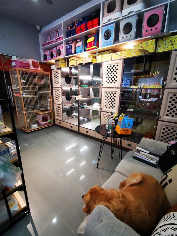 宠物店寄养环境