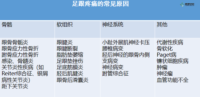 疼痛解剖学|足底筋膜炎_腾讯新闻