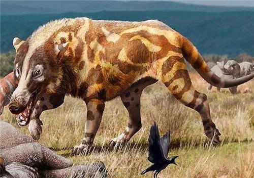 时间就有人说看到过这种动物,就在大别山附近,到了上个世纪八十年代