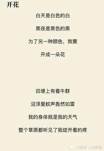 贾平凹女儿贾浅浅的诗你们觉得水平怎么样