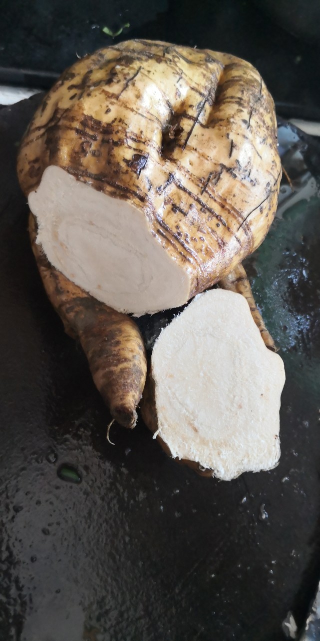 立春应节汤水赤小豆粉葛鲮鱼汤