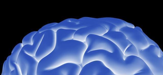 考拉这么"笨"为什么没有灭绝?_腾讯新闻