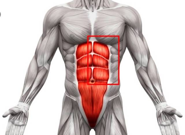 西媒统计阿扎尔加盟皇马后共缺席54%的比赛,贝尔仅26%