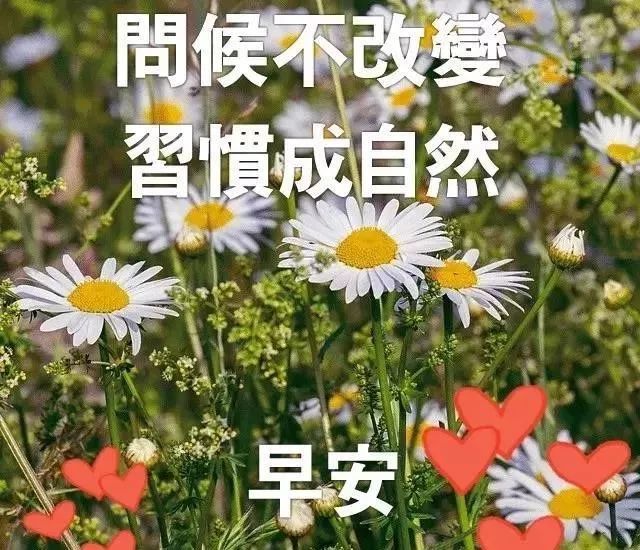 週四清晨早上好問候祝福動態表情圖片 2021最新早安問候語動態圖片