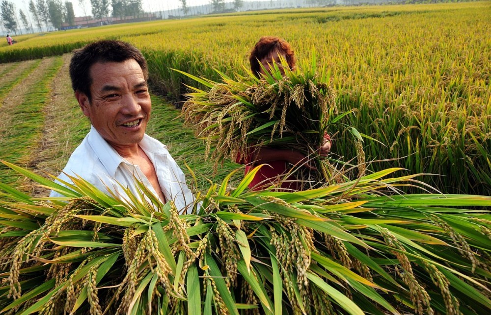 广东排名出乎意料,第一名比城镇有钱_腾讯新闻