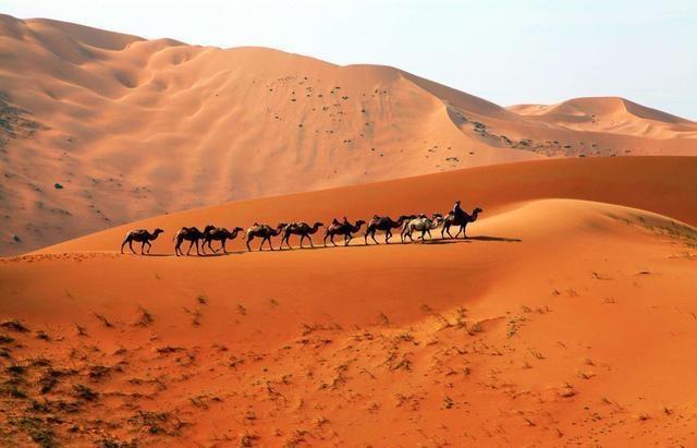 中东地区为治理沙漠将海水引入不料却引发这样的灾难