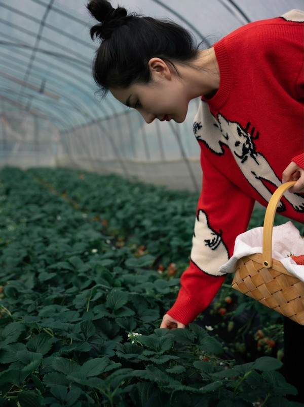 董花花立春摘草莓状态佳,张大奕忙美容庆祝新身份?_腾讯新闻