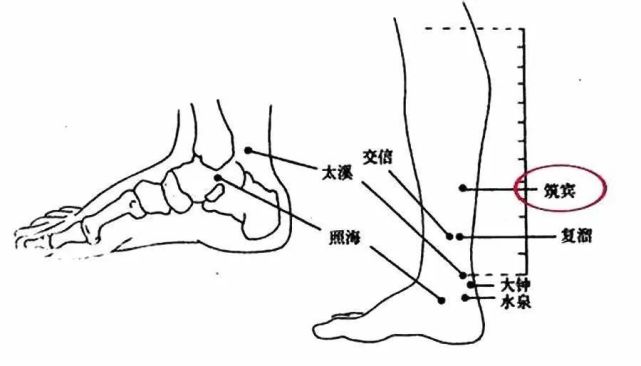 只要把腎經打通,這些病就全沒了